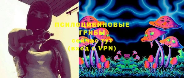 твердый Алзамай