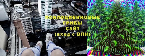 МДПВ Алексеевка