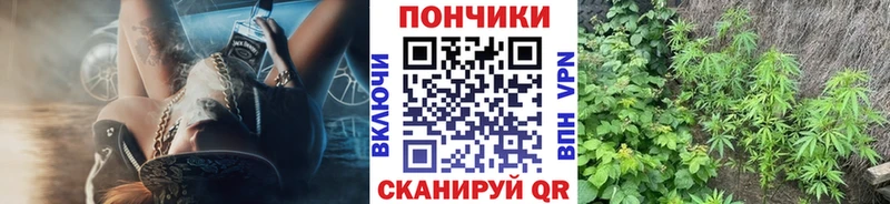 наркотики  Крымск  Бошки марихуана семена 